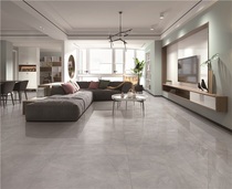 Roman Leo tile Modern simple light luxury Deep texture Natural grain Ankara stone 800*800mm