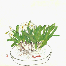 (Double Twelve Leaks) Yang Jiwen (Narcissus) Member of the Chinese Oil Painters Association