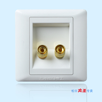 Shanghai Songday switch socket 86 type single (two) audio Horn socket 620072