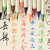 Japanese PLATINUM color soft head new brush PLATINUM creative calligraphy practice pen soft brush comic dipped water paint watercolor pen copy pen can add ink CF-350CC
