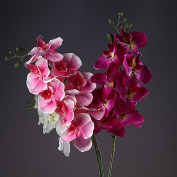 仿真蝴蝶兰假花摆设创意家居客厅茶几会议室花卉餐桌插花艺装饰品