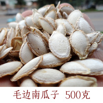 New goods Yunnan raw pumpkin seeds Ailao Mountain farmers self-grown old varieties of hair 500 grams of border raw pumpkin seeds