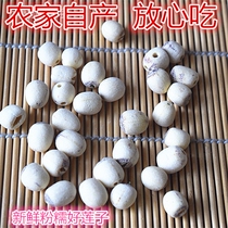 A catty of farmhouse self-produced hand-polished skin to remove the core sulfur-free super wild white lotus seed 250g good quality