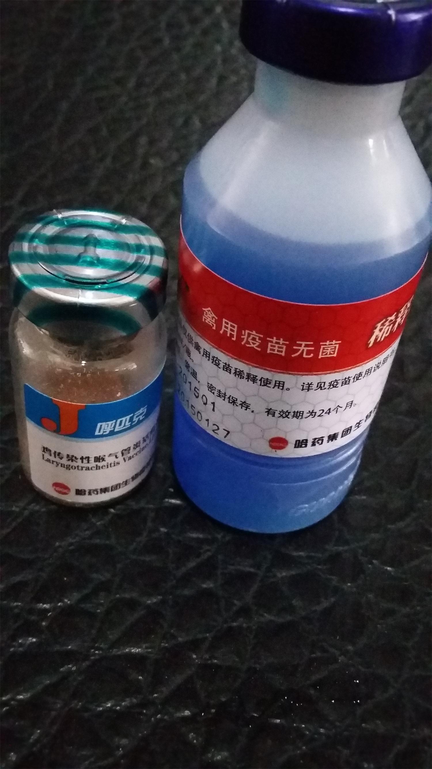 97变色龙电视剧全集