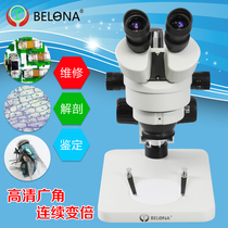 Belang binocular continuous variable magnification stereo microscope with light source mobile phone repair anatomy jewelry identification