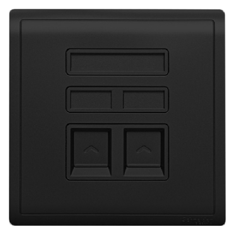 Schneider Switch Socket Fengshan Series Double Telephone Computer Network Wire Socket 86 Panel Freehand Black