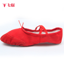 Flying belly dance shoes Dance shoes Soft low dance shoes Flat cat claw shoes Practice cloth shoes Bare body shoes