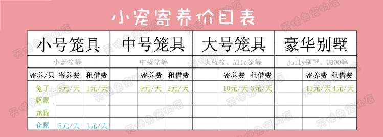 靳海音 夹竹桃天蛾幼虫钢铁侠