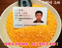 4 pieces from 2021 new goods Shaanxi Ganxian farmhouse self-produced corn grits soup cooking rice Bud grain 500g grain grain
