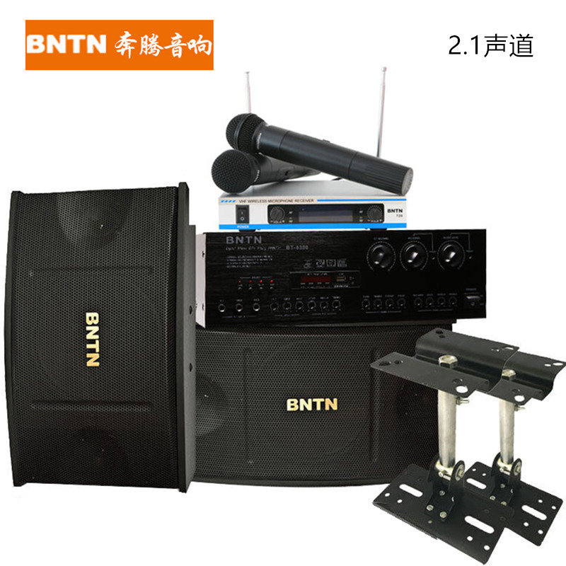 BNTN/Wanma Pentium KTV Audio Small and Medium-sized Conference Set Wireless Microphone Voice Order Machine 450 speakers