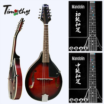 Timothy is so cute Intermediate M100 treble send to learn piano Full set of eight-string mandolin instrument mandolin