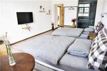  Dali Plant House Boutique Holiday Inn Standard Room