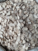 Anguo Chinese herbal medicine market batch Anhui White Peony large pieces of selected flakes 1000 grams