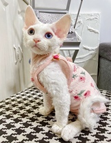  Cream is a hairless cat Devon Sphinx summer pet cat dog floral thin sling breathable