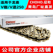 Suitable for Longjia V coffee V Road J250-VL motorcycle and high-end original thick mute oil seal gold chain