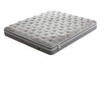 Red Star Meikailong Xi Linmen net sleep S26 latex independent Reed mattress