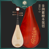 Beijing Xinghai 8911-R Ruyi head adult hardwood pipa 8911-1 Pipa beginner practice playing pipa