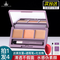 Erwood Canopy Flawless Pan Multi Color Control Oil Moisturizing Persistent Spots Shade of the face Three-color Flawless Pan Portugal
