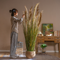 High-end natural reed grass artificial flower plant fake tree indoor dry flower bionic green plant window decoration decoration
