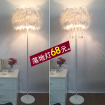 Floor lamp ins Wind feather bedroom Princess Nordic living room creative vertical table lamp lighting Net red bedside lamp