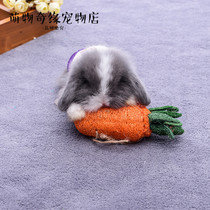 Bugs rabbit guinea pig ChinChin molars carrot loofah squirrel natural pet toy edible