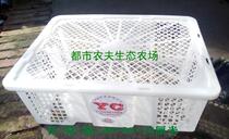 Second-hand disposable fruit plastic frame transport basket Longan Longan pigeon chicken childish pet turnover express seafood
