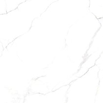 Shunhui tile floor tile 2689050 Cynthia