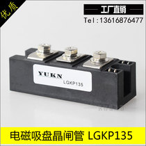 High quality silicon controlled module for LGKP135 electromagnetic lifting suction cup high performance and stable LGNP