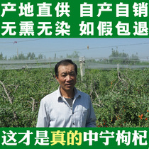 Ningxia Zhongning wolfberry tea authentic disposable super old farmer 500g disposable red structure farmer specialty male kidney