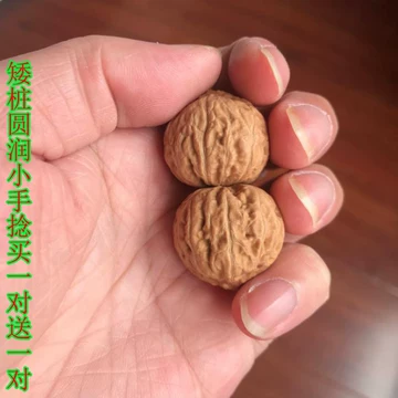 ❤️新入荷❤️No.643❤️文玩くるみ（文玩核桃） 高級希少種九月元宝 小文玩核桃新款- 小文玩核桃2021年新款- 京东