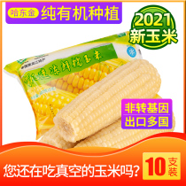 Northeast Heilongjiang Hadongjin organic quick-frozen fresh corn stick sweet glutinous corn stick 10 non-genetically modified
