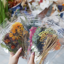 Weekend flower shop PET transparent large size sticker dry flower plant hand account collage material hand account decoration stickers