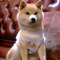 Cat and mouse dog cat cotton vest sleeveless spring and summer thin Teddy Corky Shiba dog anti-hair clothes