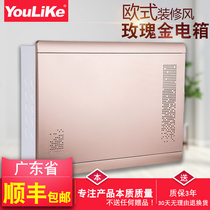 Yulico European Home Decoration Multimedia Collector Box Hidden Household Large Fttp Home Wiring Weak Current Information Box