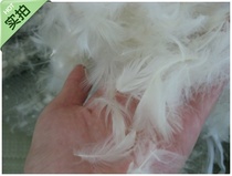 Feather Pillow Fight Special Pillow Tear Violent Pillow Filler Pure White Feather Special for Photography