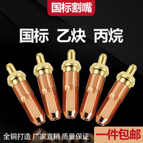 Acetylene cutting nozzle propane 100 Type 30 gas oxygen through needle liquefied gas stainless steel Morimoto g01 30 cutting nozzle