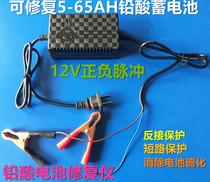 12V16V positive and negative pulse battery repairer Car electric motorcycle vulcanized battery detection repairer