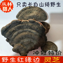  Wild red edge edge ganoderma lucidum tree tongue red edge layer pore bacteria Changbai Mountain wood forest sessile slices dry goods 500 grams