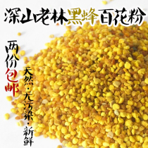 Northeast specialty Heilongjiang Yichun wild bee pollen bee bee farmer 100 pollen edible 250g
