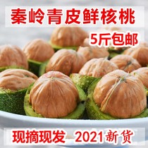 2021 Shaanxi fresh green walnut pickled found pregnant women snack specialty 510kg with green skin Wild
