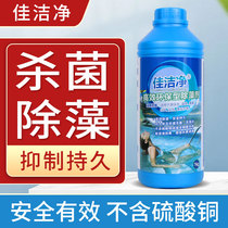  Good clean swimming pool algicide Water feature pool algicide High efficiency water treatment agent bactericidal algicide
