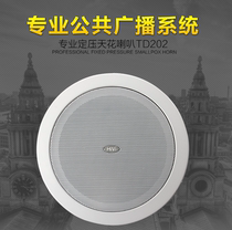 Hivi whiwei TD202 ceiling speaker set ceiling ceiling audio shop Bluetooth background music system