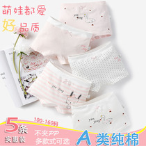  Girls  underwear pure cotton boxer 3 middle and large children 6 girls cotton four corners childrens baby shorts head does not clip PP10 years old