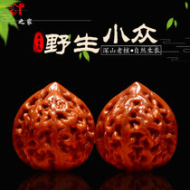 Wen play walnuts wild natural niche scarce treasures Lions head boutique old tree fruit handlebar palm beads collectible level