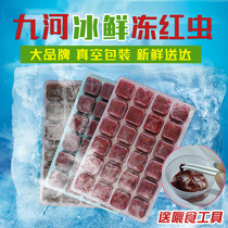 Frozen red worm fish feed red insect rich shrimp parrot fish red nematode koi fish food cow heart burger fish bait