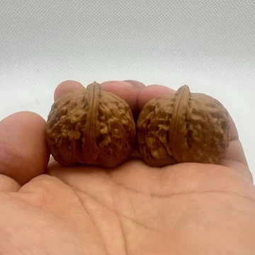 白狮子文玩核桃油-白狮子文玩核桃油促销价格、白狮子文玩核桃油品牌- 淘宝