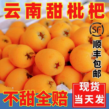 鲜枇杷-鲜枇杷促销价格、鲜枇杷品牌- 淘宝