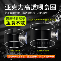 Fish tank floating feeding ring gold wave fish seedlings fed acrylic feeder sucker feeding fish food to prevent floating