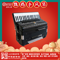 Parrot accordion YW-852 41-key 120 bass echo piano Professional-grade seven-one piano 