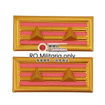 RO military collection --- high-quality anti-Japanese War National Army gendarmerie lieutenant colonel